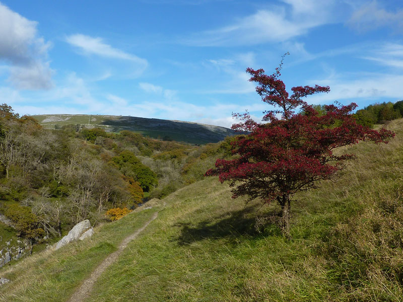 Ingleton