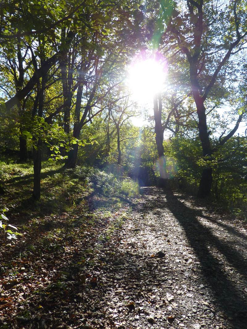 Ingleton