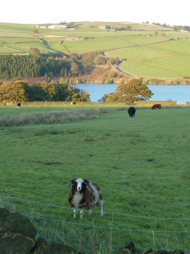 Digley Reservoir