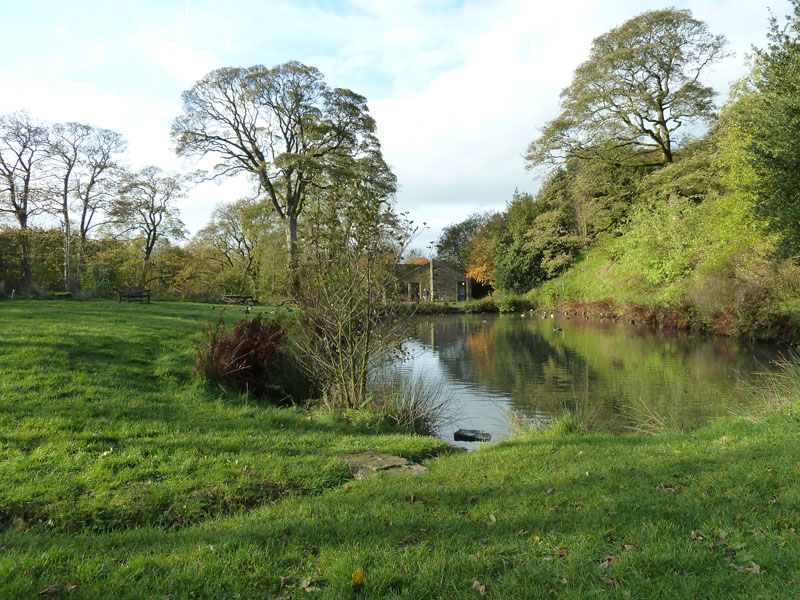 Duck Pond