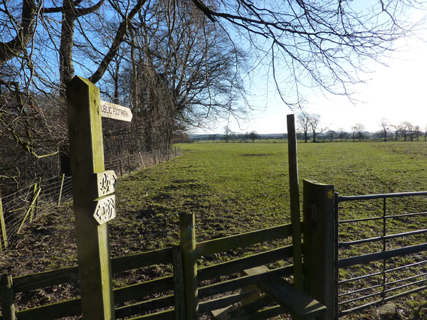 Ribble Way Walk