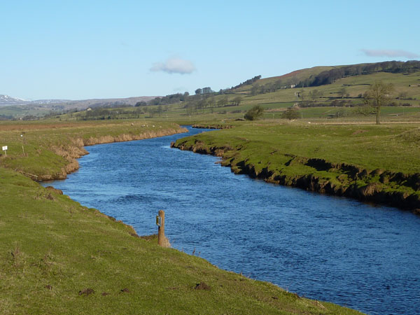 River Ribble