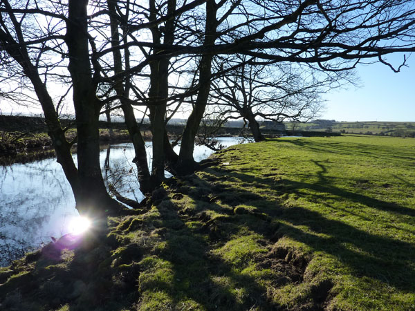 River Ribble