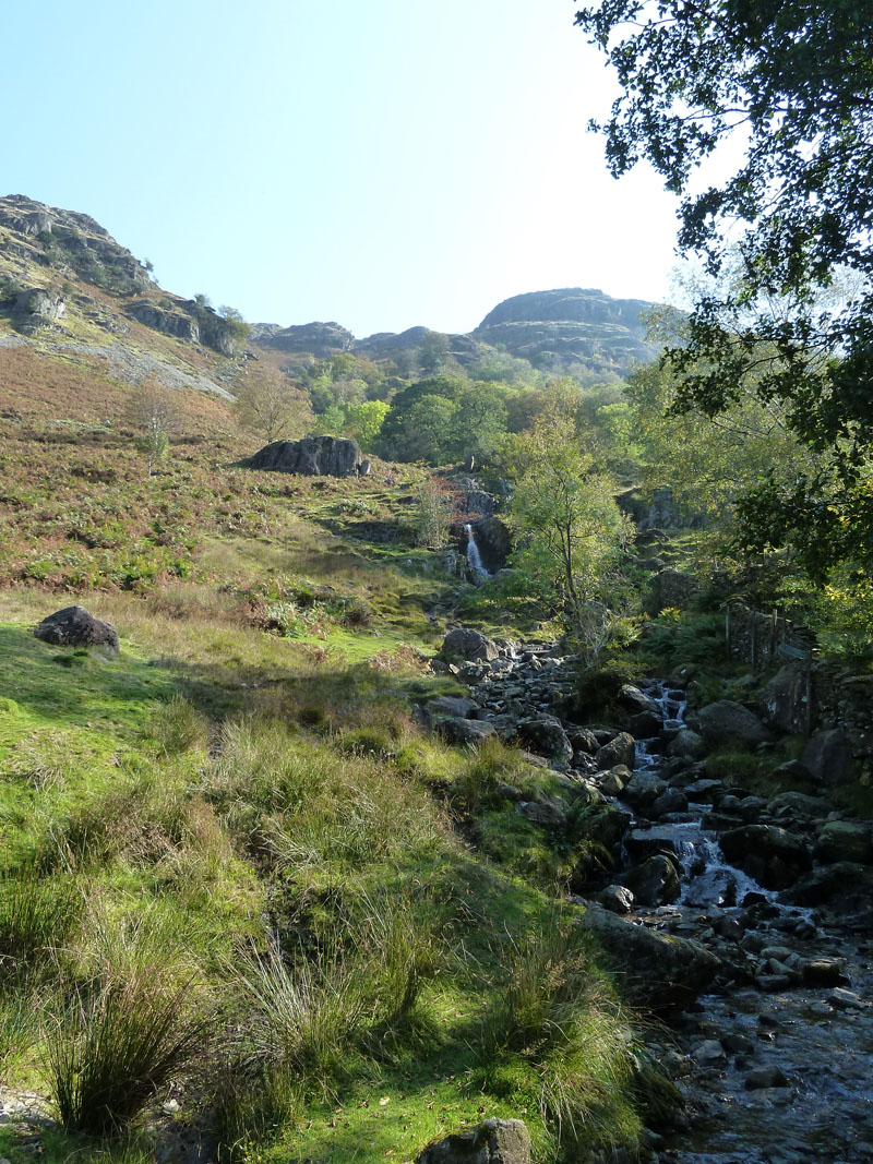 Angletarn Beck