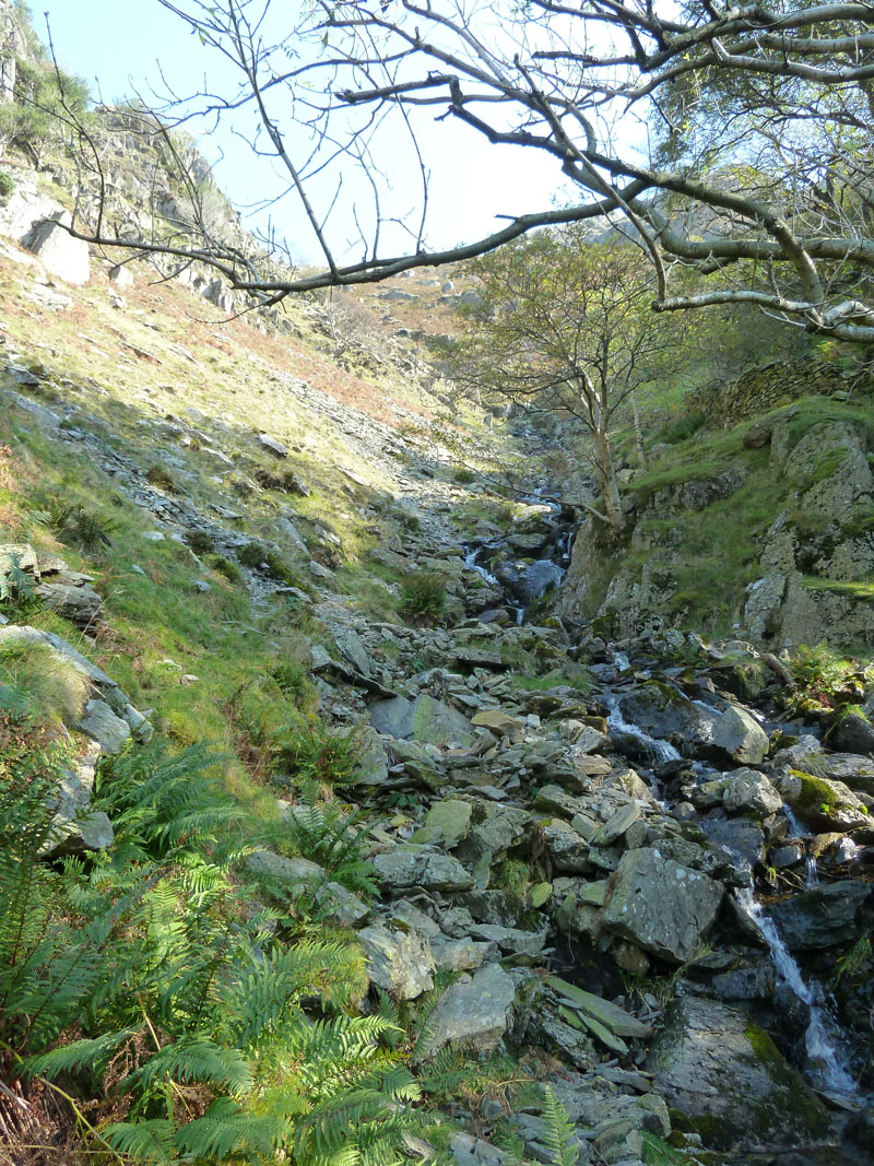 Angletarn Beck