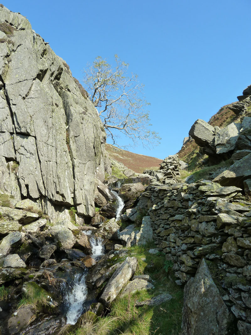 Angletarn Beck