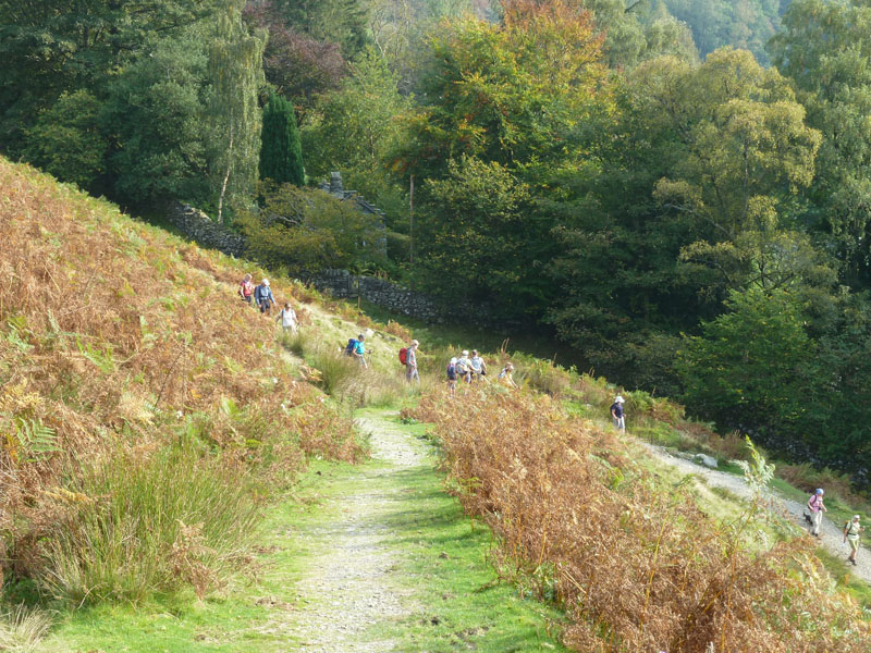 Walking Group