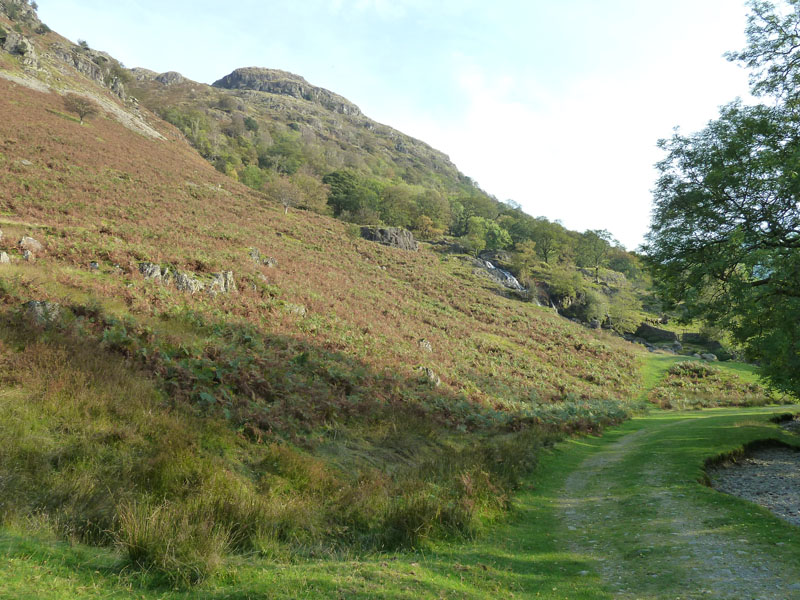 Angletarn Beck