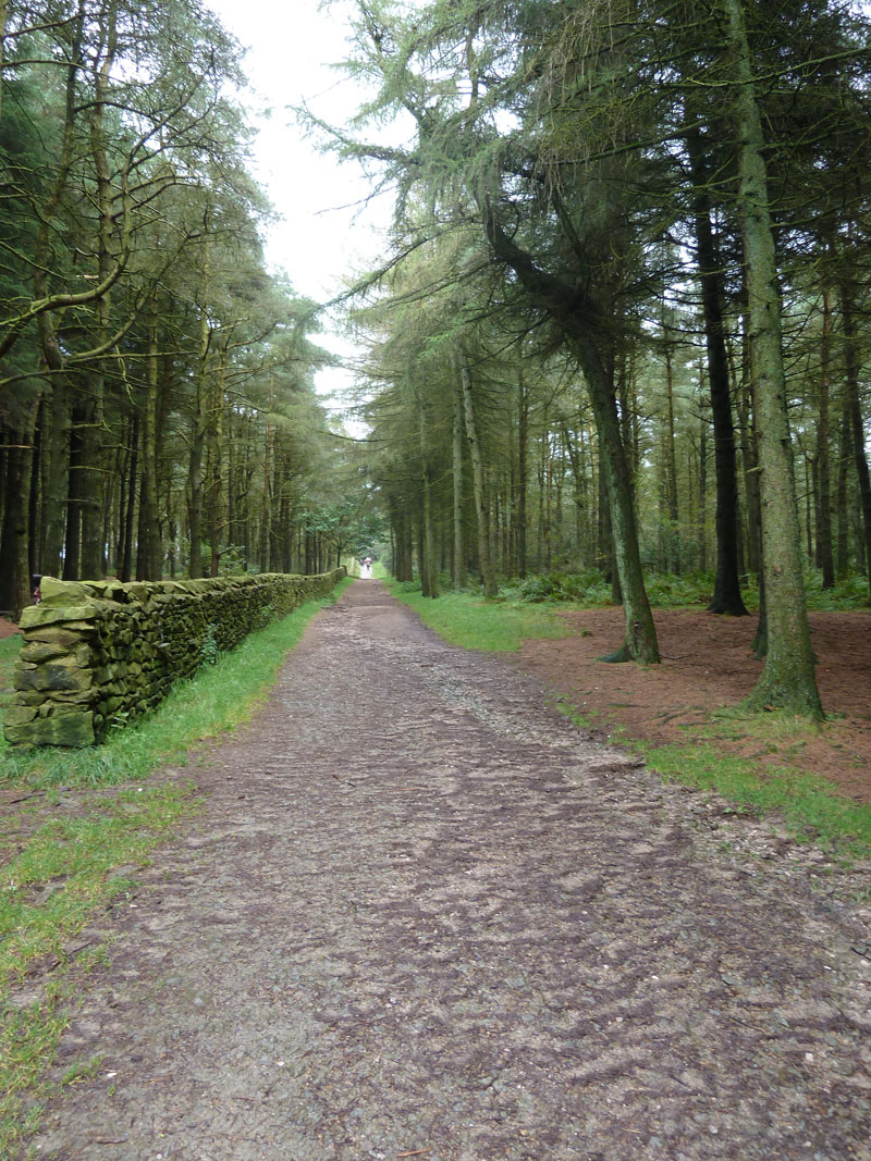 Beacon Fell