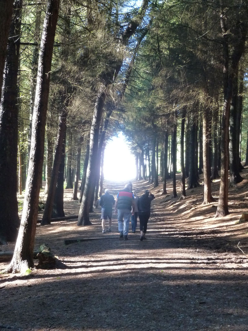 Beacon Fell