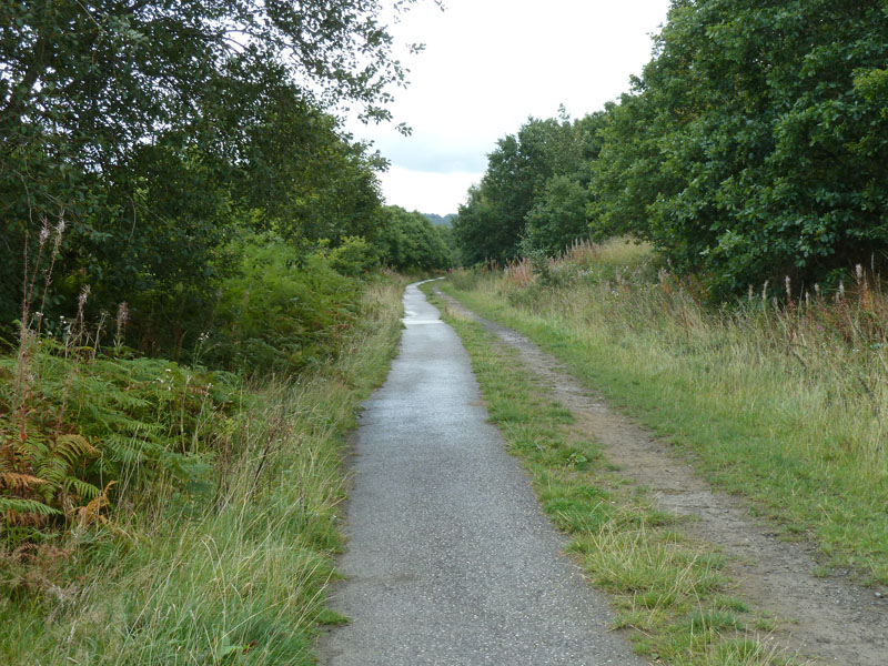 Trackbed