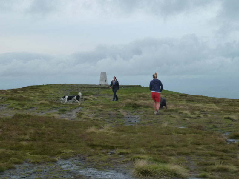 Pendle Ladies