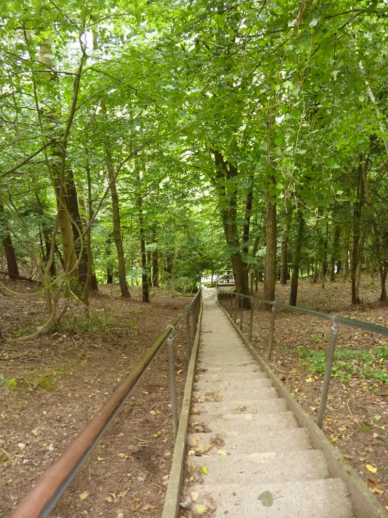 Cheddar Gorge and Wells